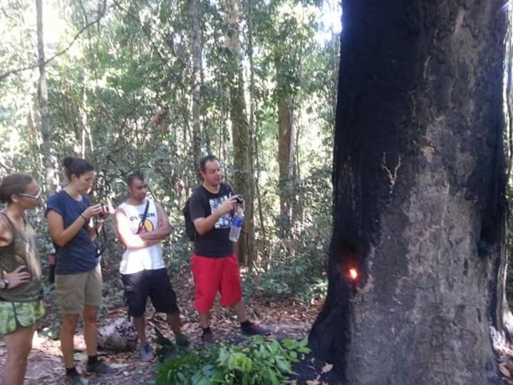 Bee Bee'S Chalets Home Stay And Trekking Banlung Bagian luar foto
